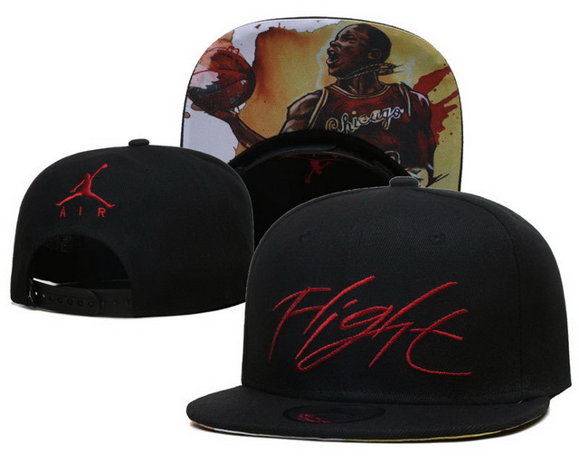 Jordan hats 14