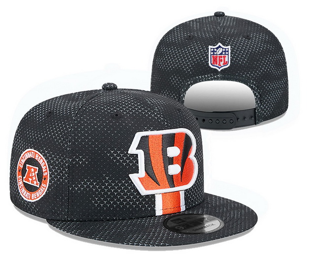 NFL hats 028