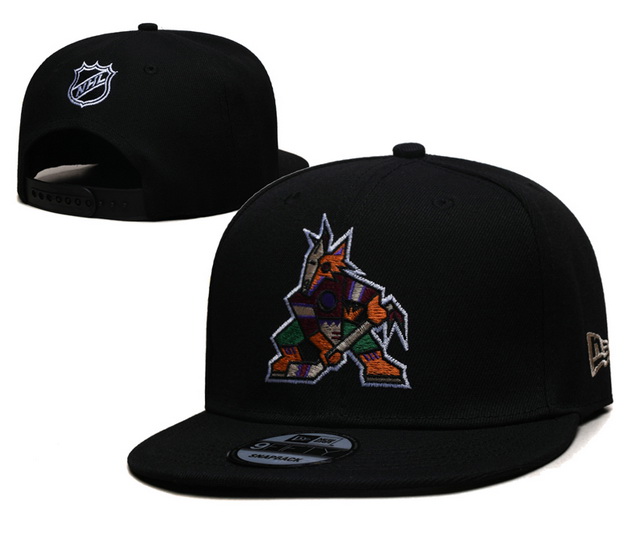 NHL hats 006